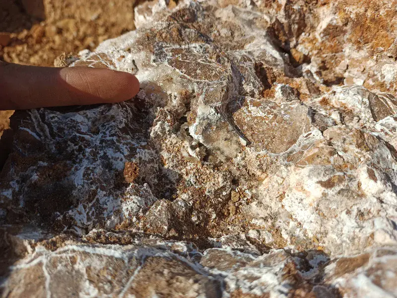 Siliceous Stone with Small Lines-shaped Slices of Calcite/Gypsum Deposits