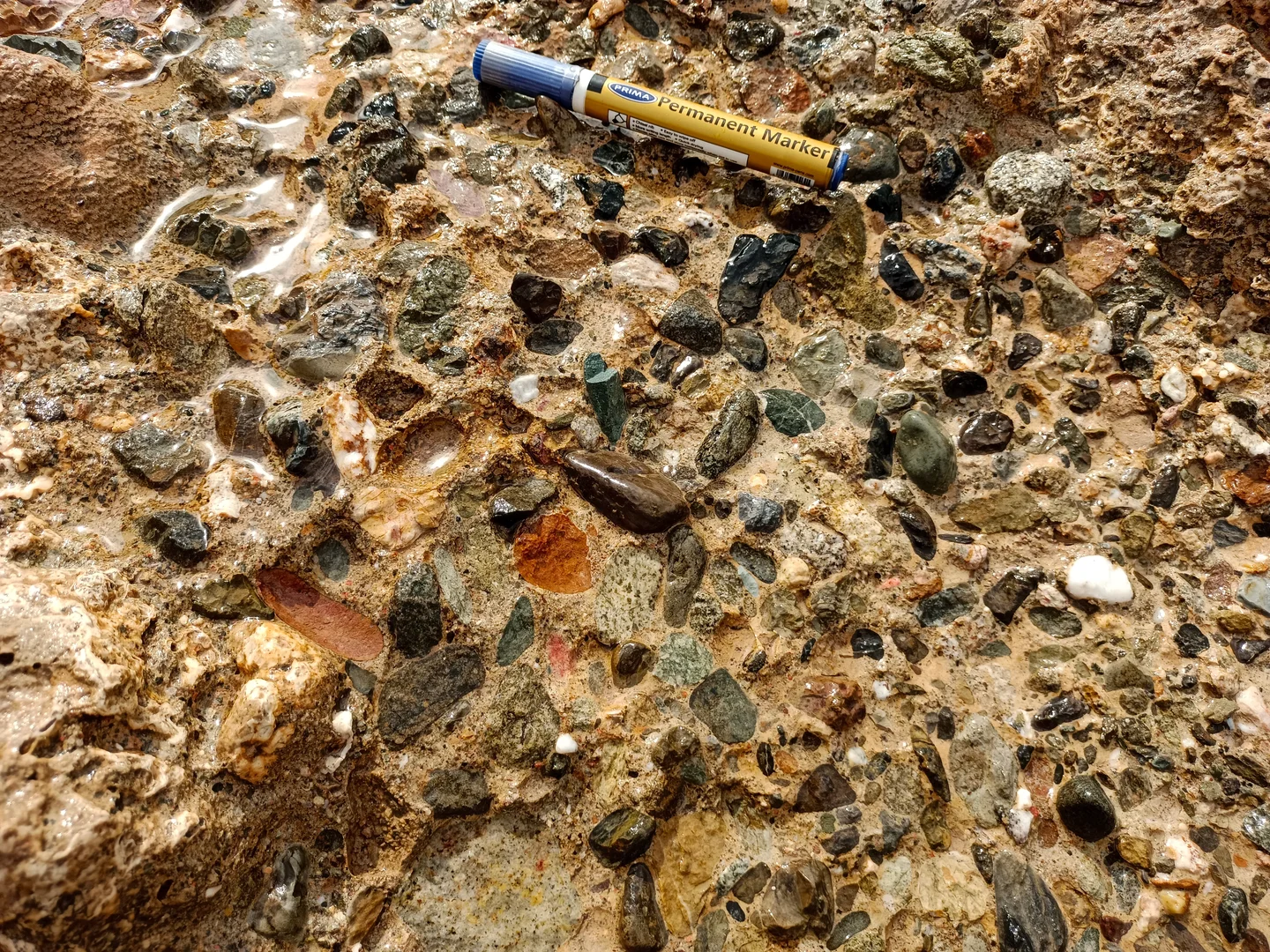 Well-sorted Marine Clastics (medium- to coarse-sized) embedded within iron-oxides cement