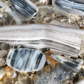 Cross section of shelly phosphorite from Ülgase, Estonia