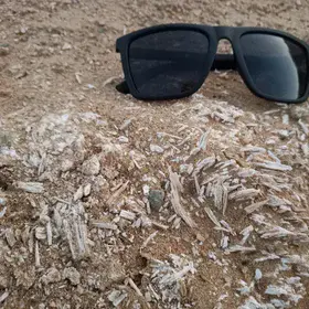 Needles-like Altered Gypsum Crystals within Lime and Sands Deposits