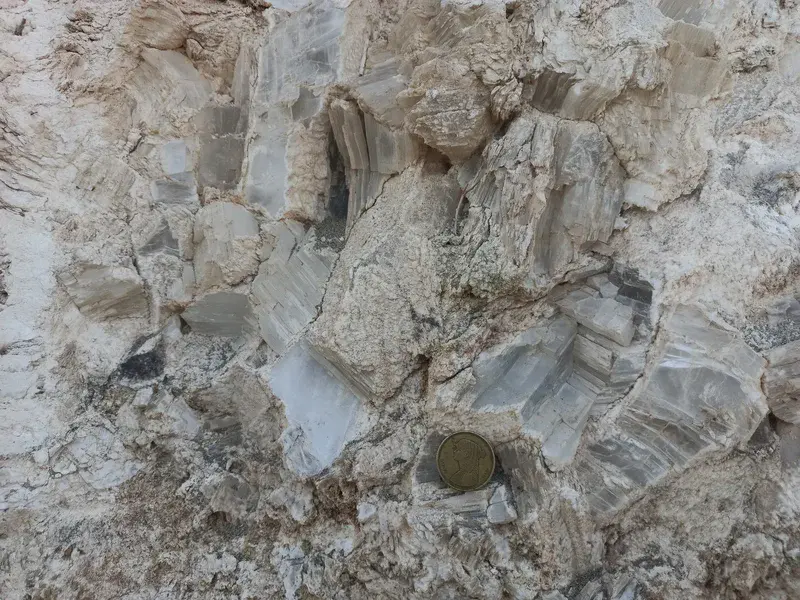 Outcrop of Calcite/Gypsum Full-growth Crystals