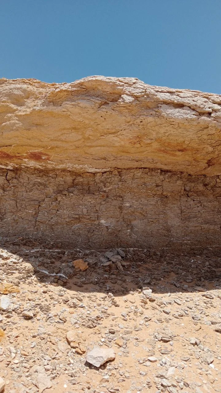 Limestone and shale rock layers.