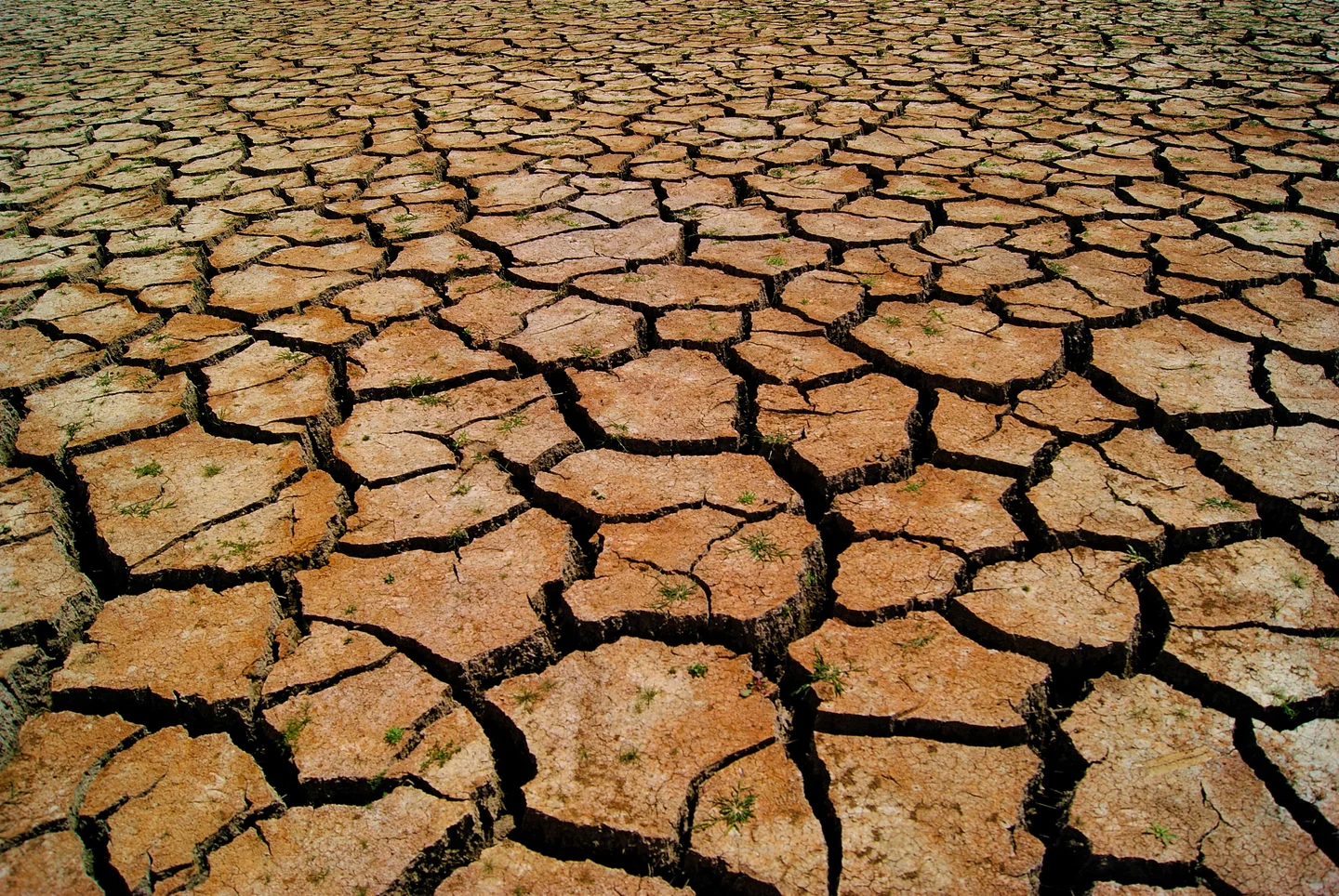 Extreme drought event