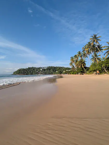 Sunny Morning in Sri Lanka Coastline