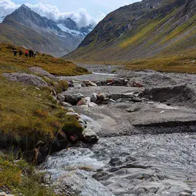 From the field visit to Alps