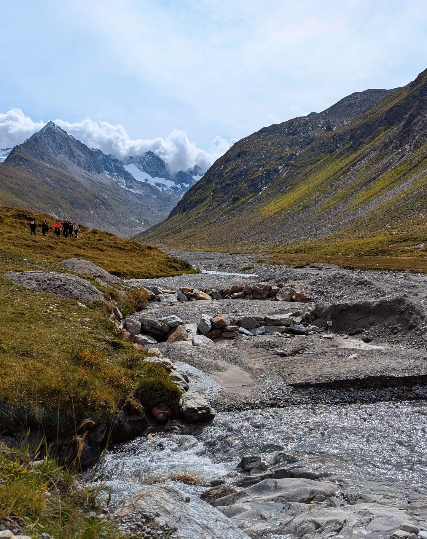 From the field visit to Alps