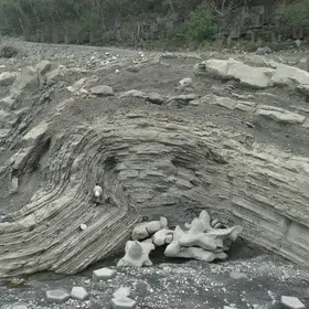 Anticline in ChiChi weir Central Taiwan