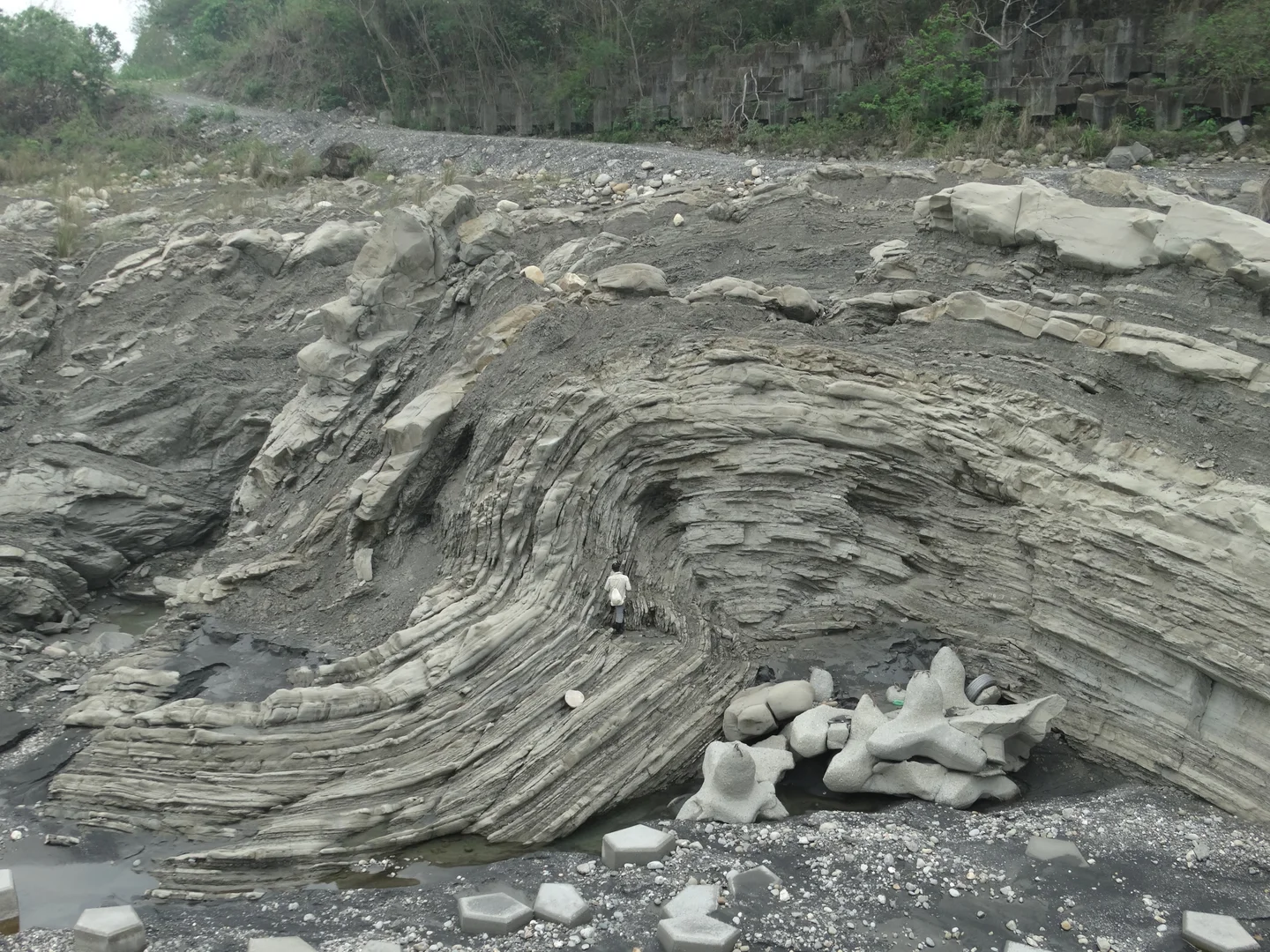 Anticline in ChiChi weir Central Taiwan