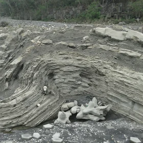 Anticline in ChiChi weir Central Taiwan