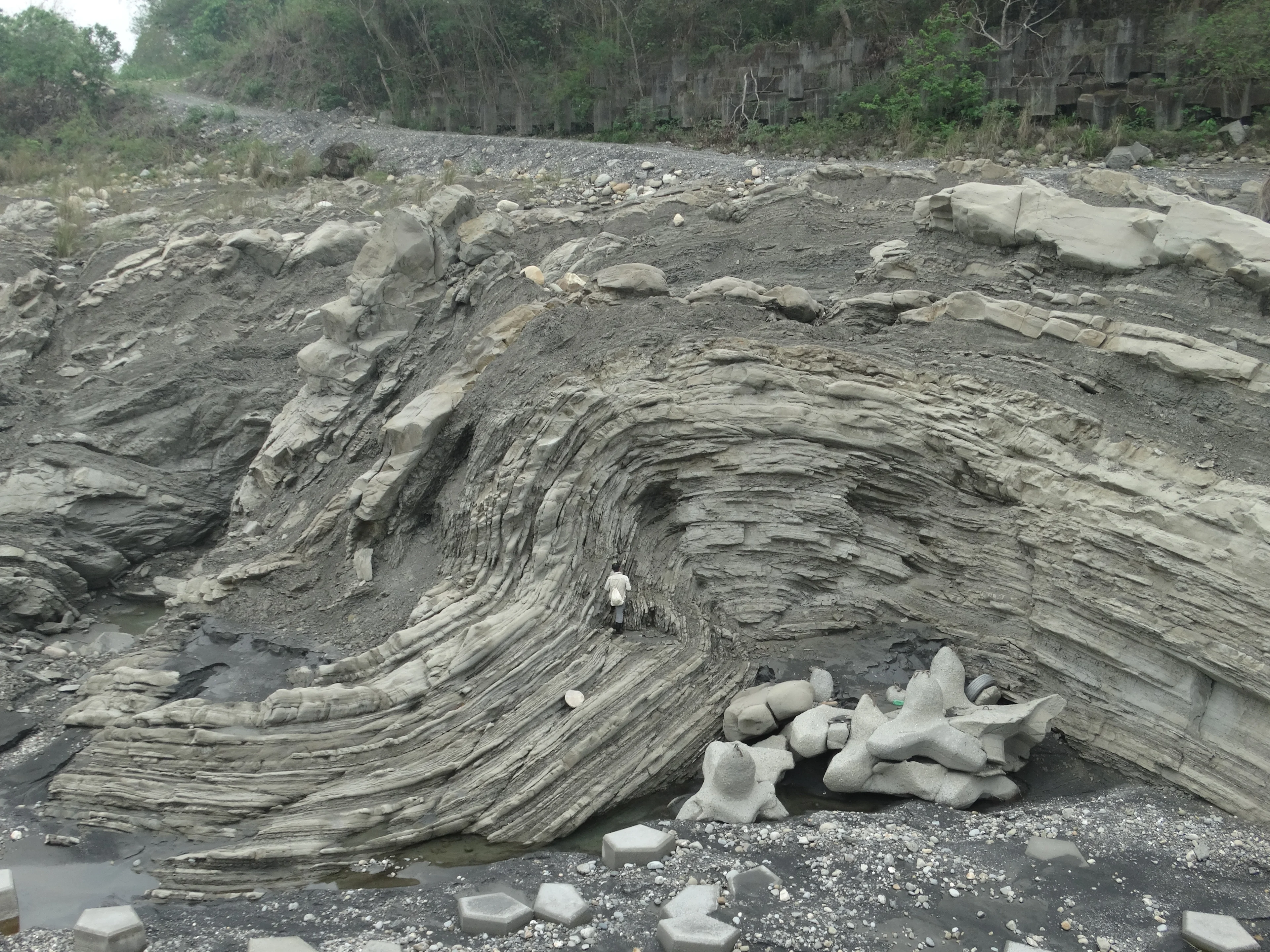 Anticline in ChiChi weir Central Taiwan