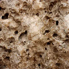 Fossilized Coral Reefs, Al-Naizak Crater Lake, Marsa Alam City, Red Sea, Egypt