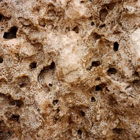 Fossilized Coral Reefs, Al-Naizak Crater Lake, Marsa Alam City, Red Sea, Egypt