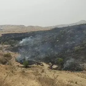 Ecological Loss Due to Scrubland Burning in Mahadev Hill Range, Aundh