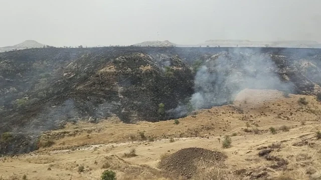 Ecological Loss Due to Scrubland Burning in Mahadev Hill Range, Aundh