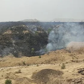 Ecological Loss Due to Scrubland Burning in Mahadev Hill Range, Aundh