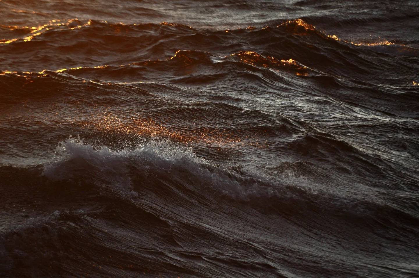 Bothnian Sea waves in the dusk