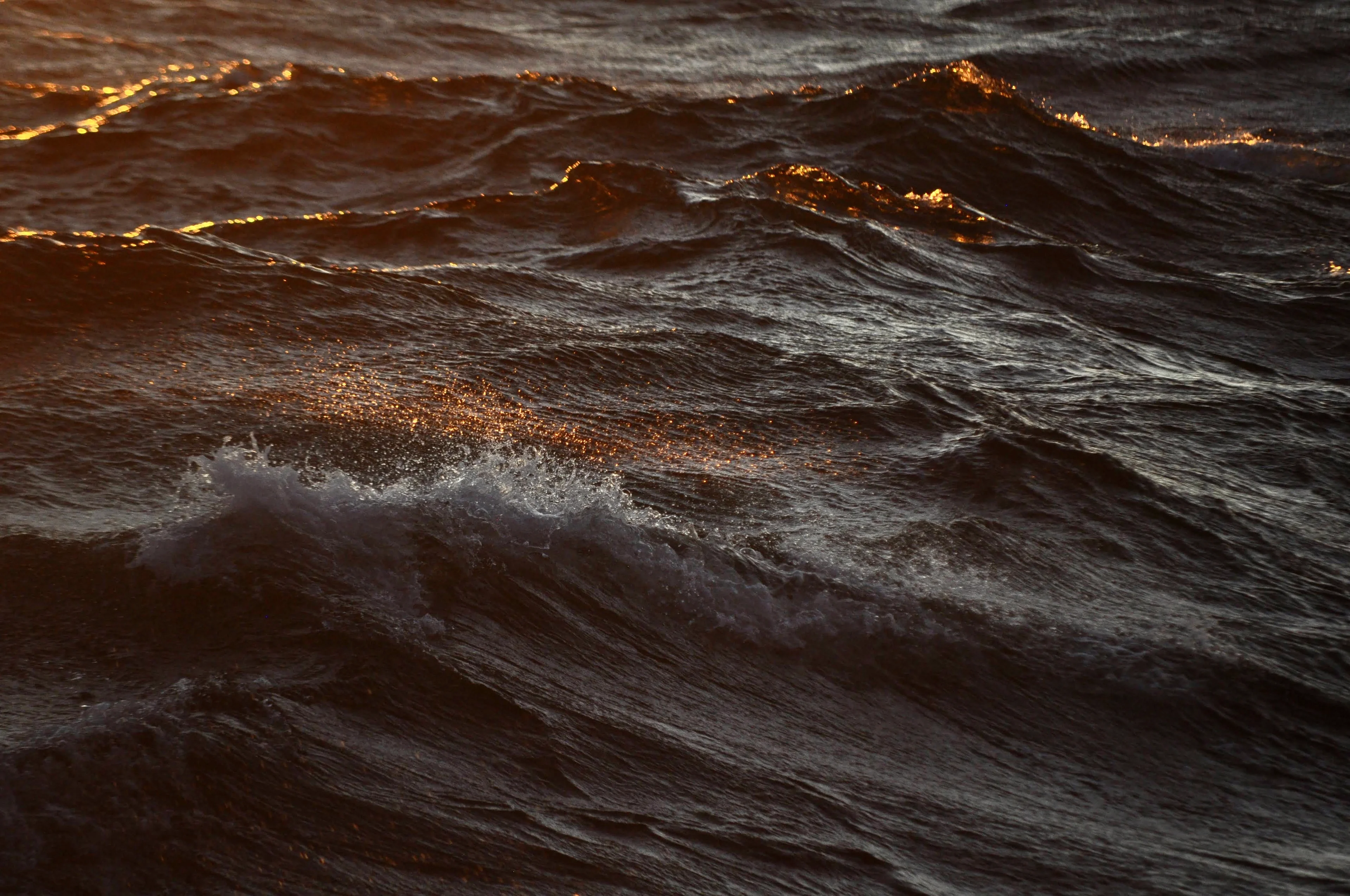 Bothnian Sea waves in the dusk