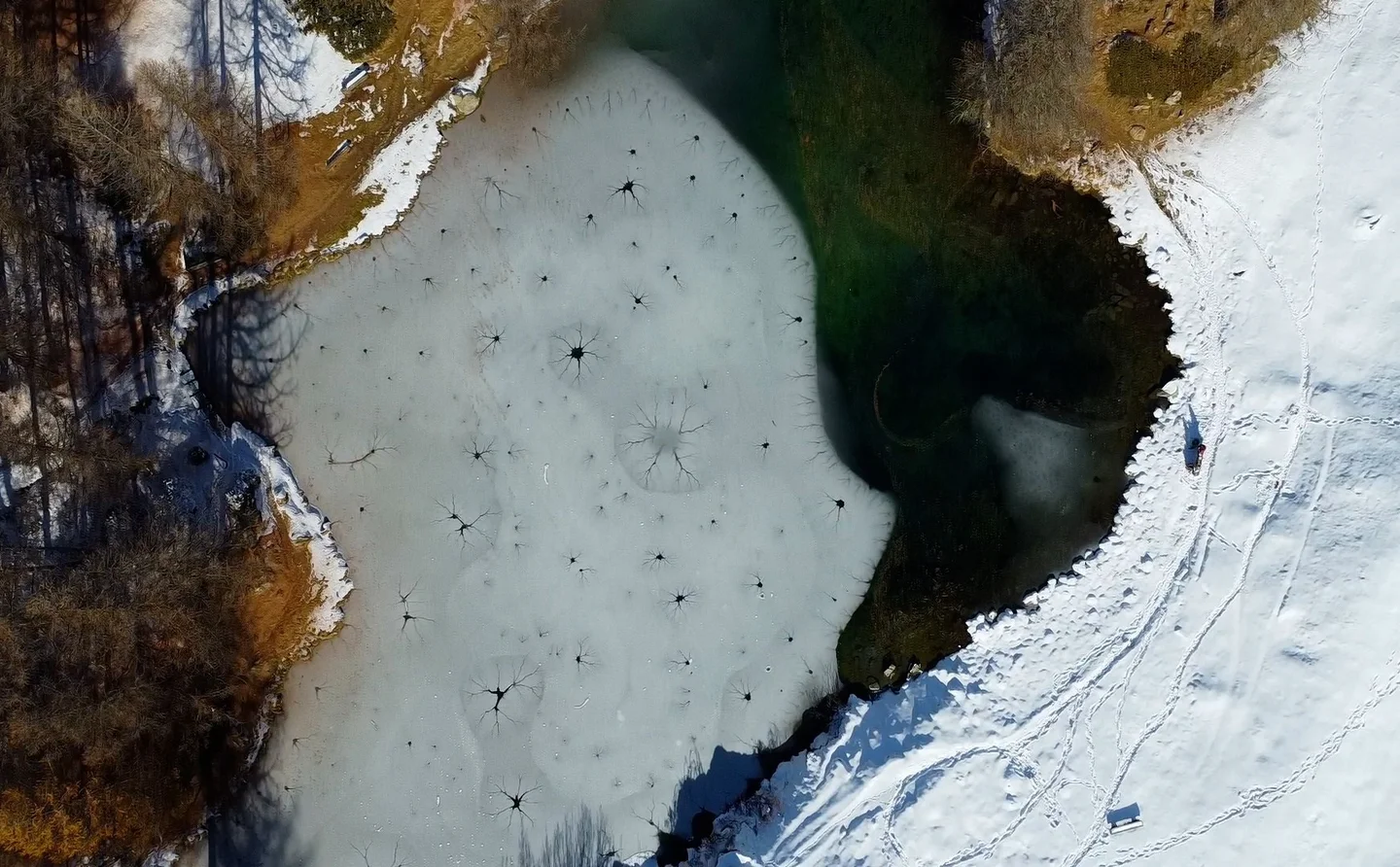 Like neurons in the ice.