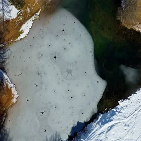 Like neurons in the ice.