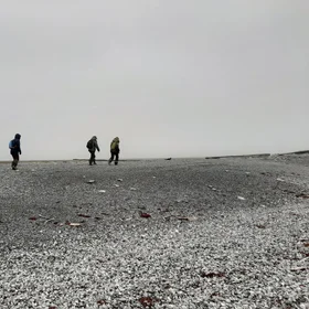 Steps into the Silence: Arctic Research in Action