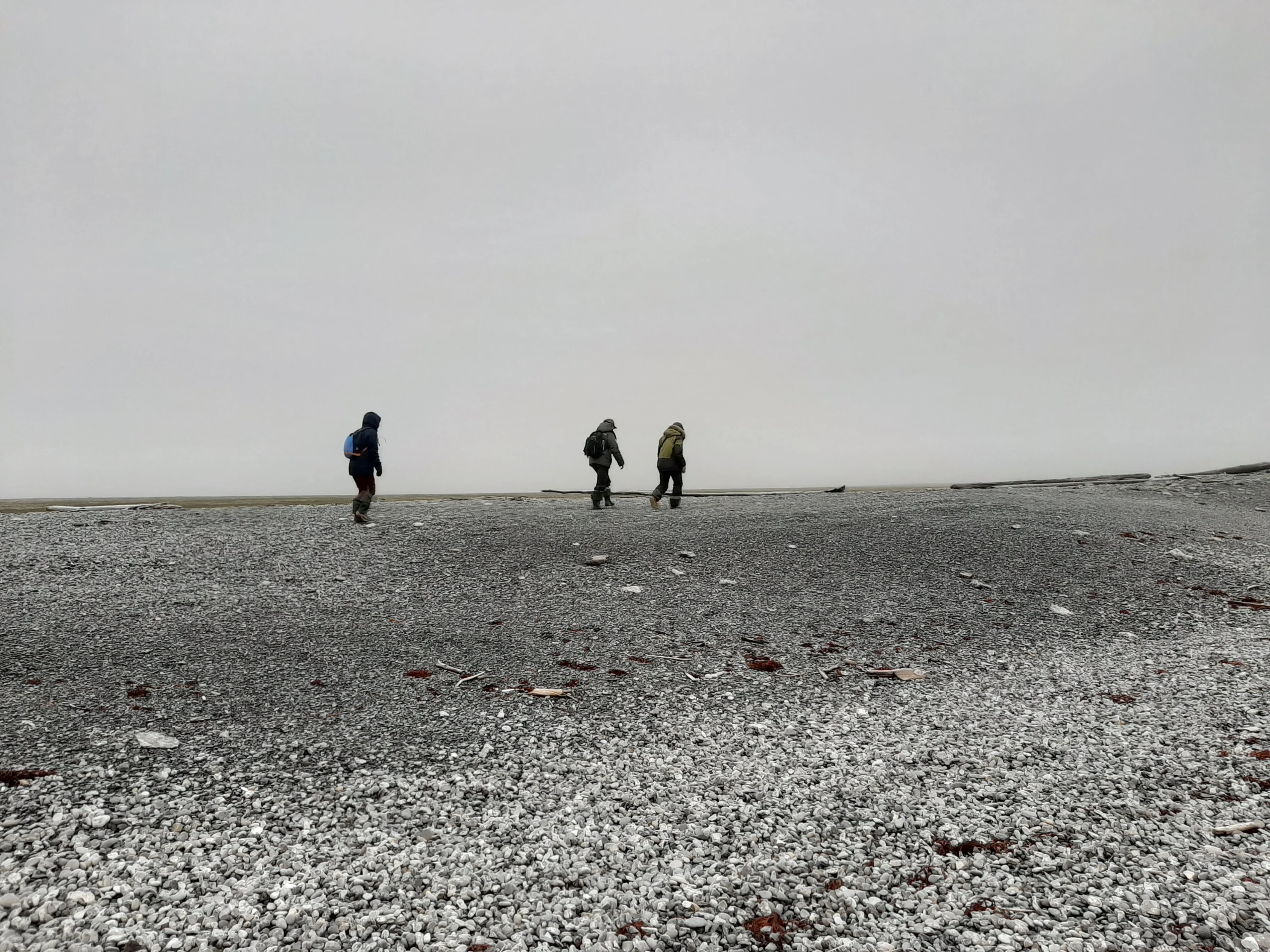 Steps into the Silence: Arctic Research in Action