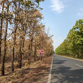 Forest roads: human-made fuelbreaks in defence against human-induced wildfires