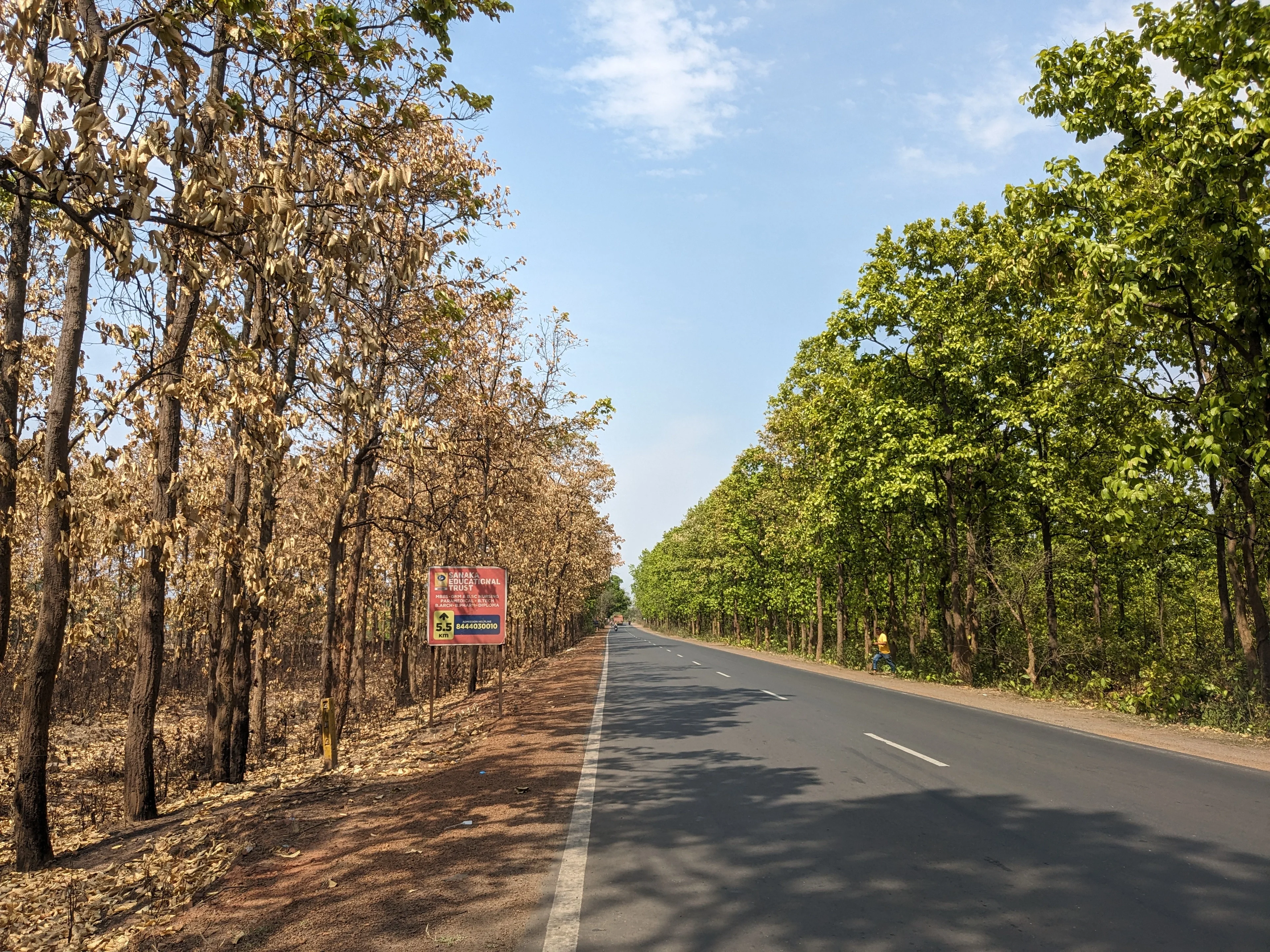 Forest roads: human-made fuelbreaks in defence against human-induced wildfires