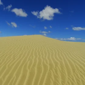 Ripples and dunes, a question of scale