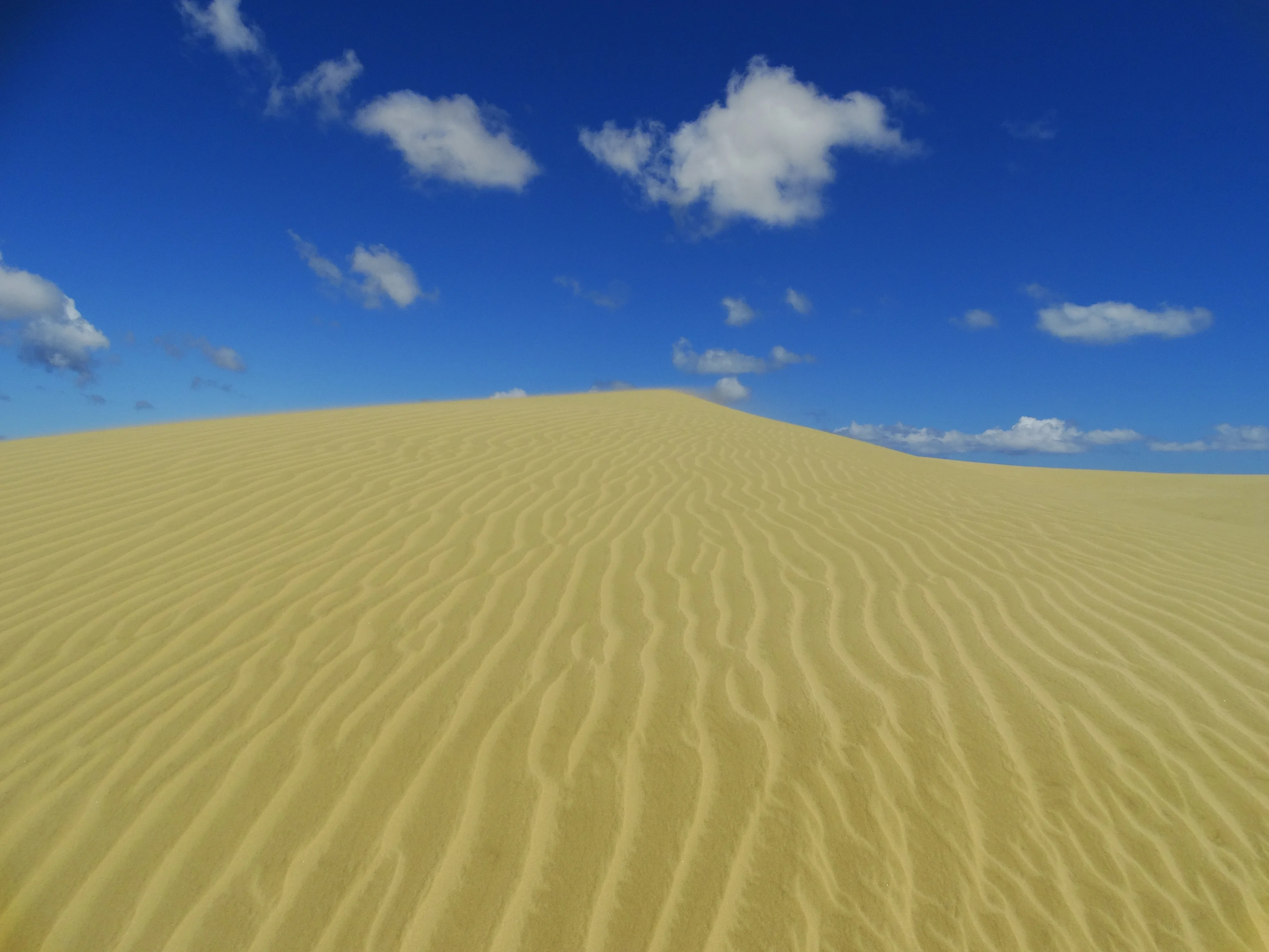Ripples and dunes, a question of scale