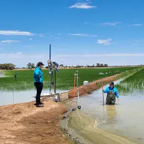 Automated irrigation gates and greenhouse gas measurement in commercial rice, Riverina, NSW, Australia