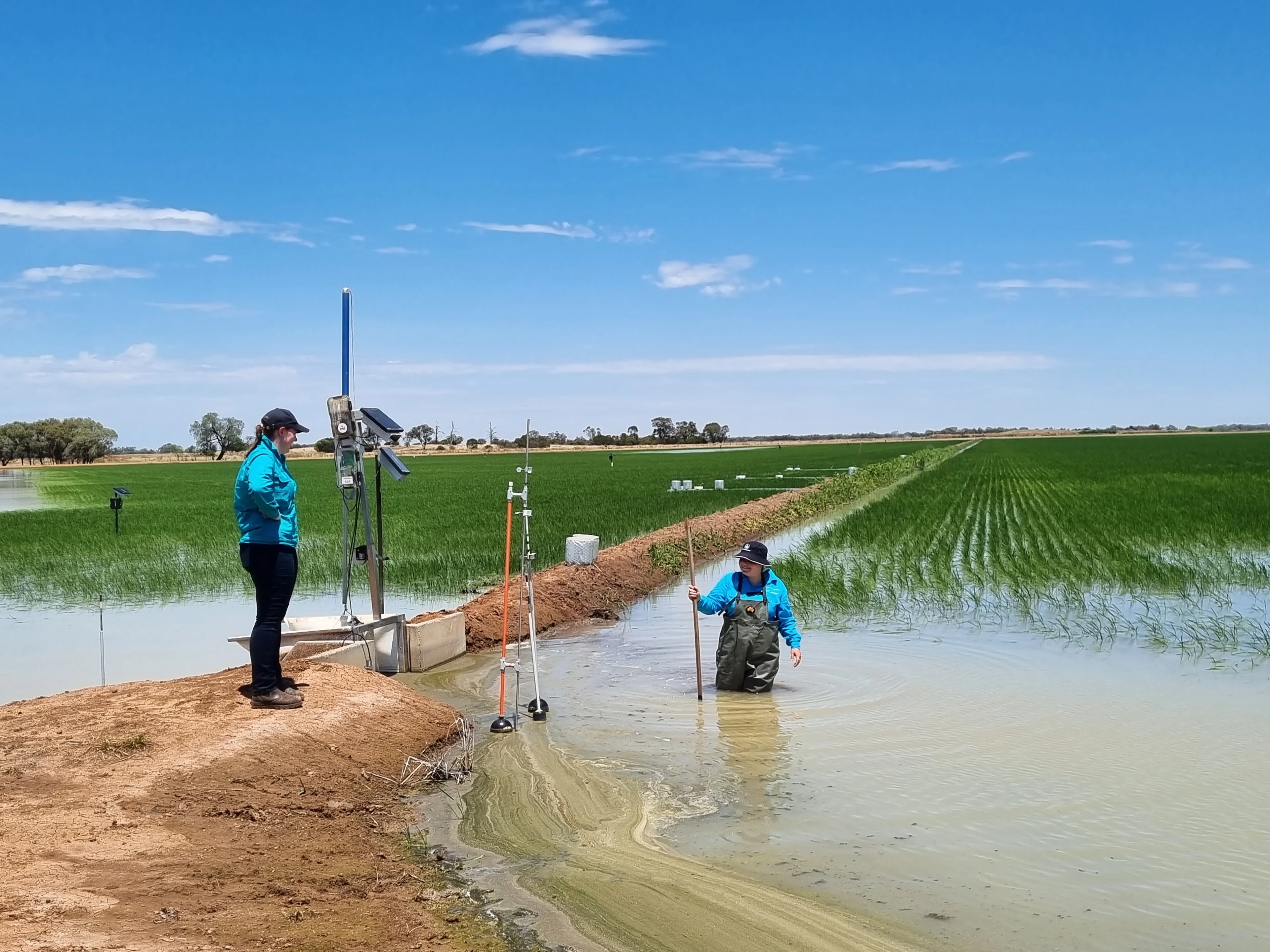 Automated irrigation gates and greenhouse gas measurement in commercial rice, Riverina, NSW, Australia