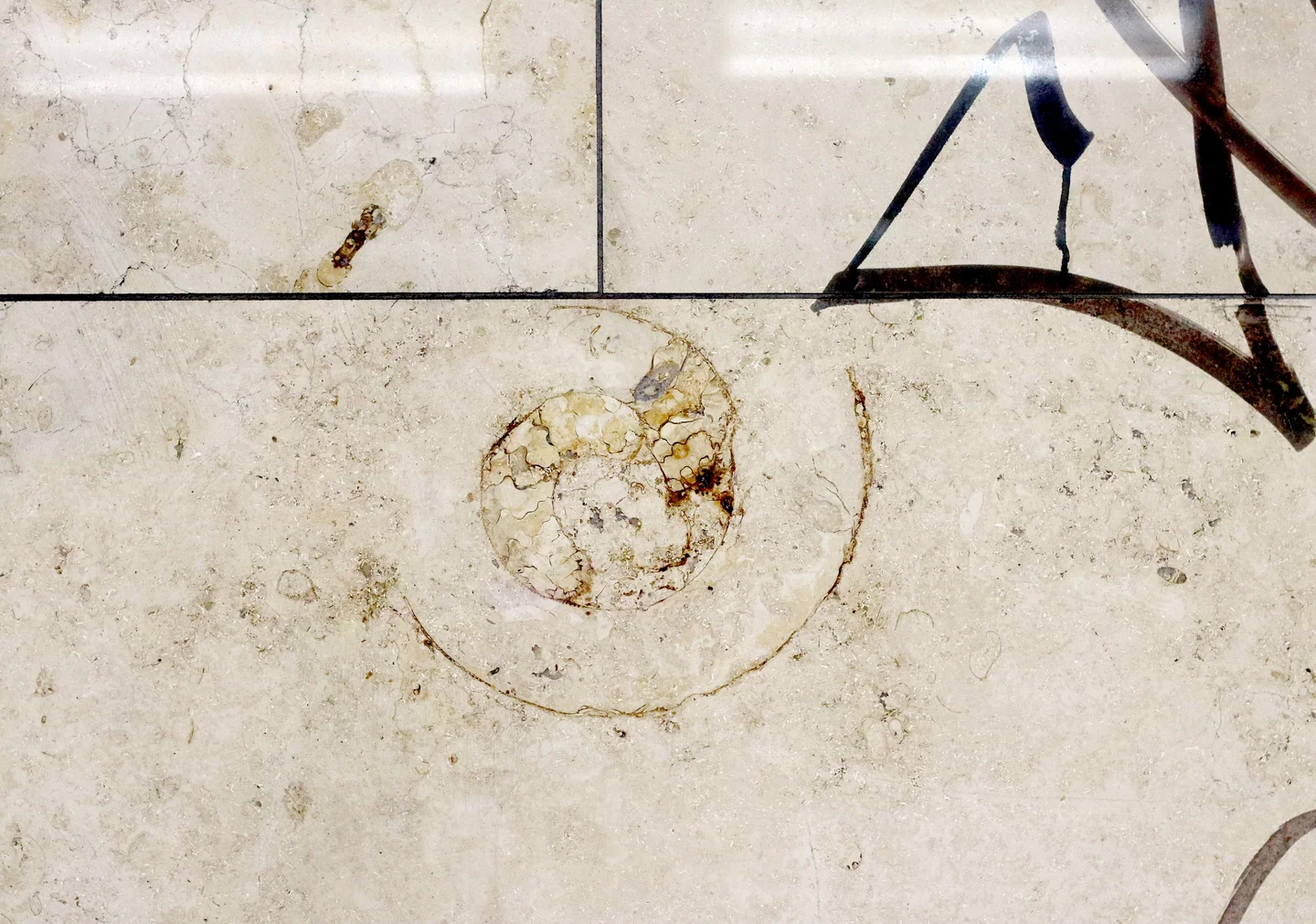 Signs of life - an ammonite fossil next to a tag in a metro station