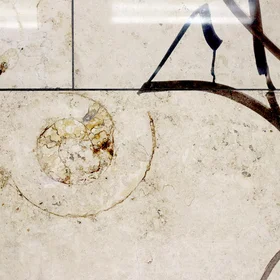 Signs of life - an ammonite fossil next to a tag in a metro station