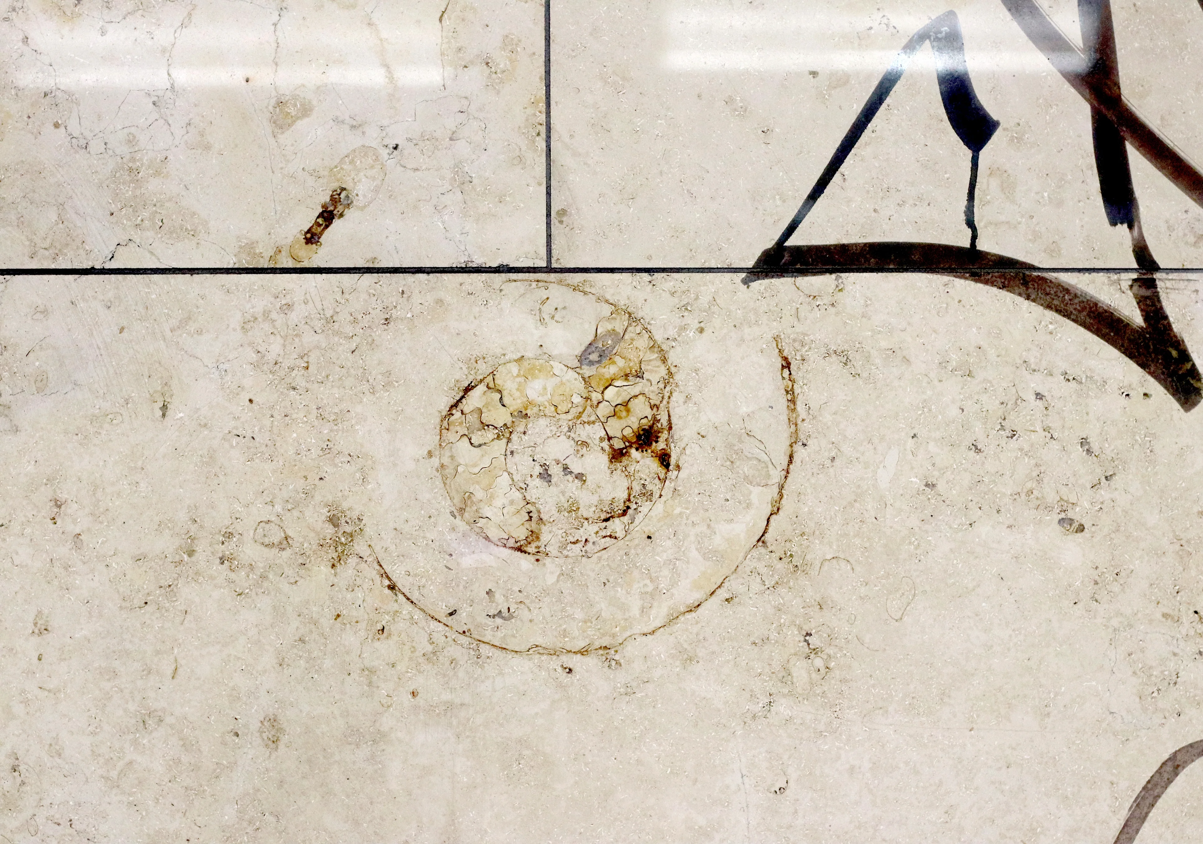 Signs of life - an ammonite fossil next to a tag in a metro station