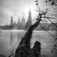 Radiation fog over the Ebro river by Carlos Calvo-Sancho