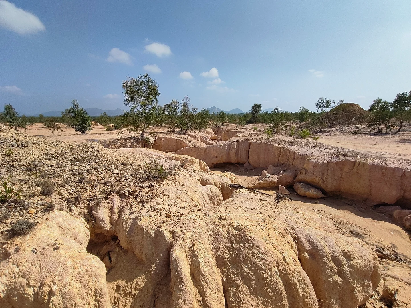 Signature of contemporary geomorphic process within an ancient craton