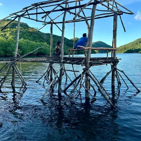 Learning from nature - mangrove buildings