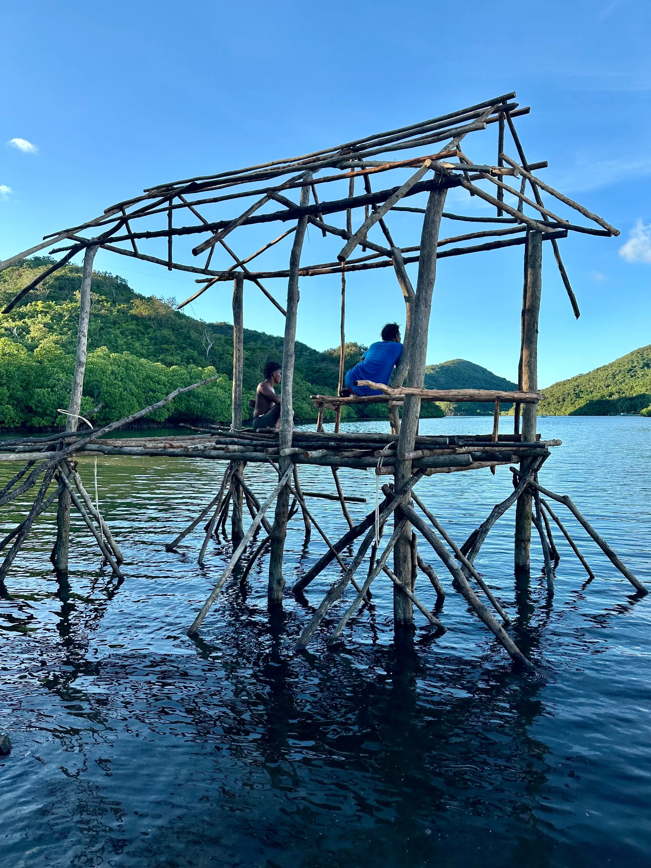 Learning from nature - mangrove buildings