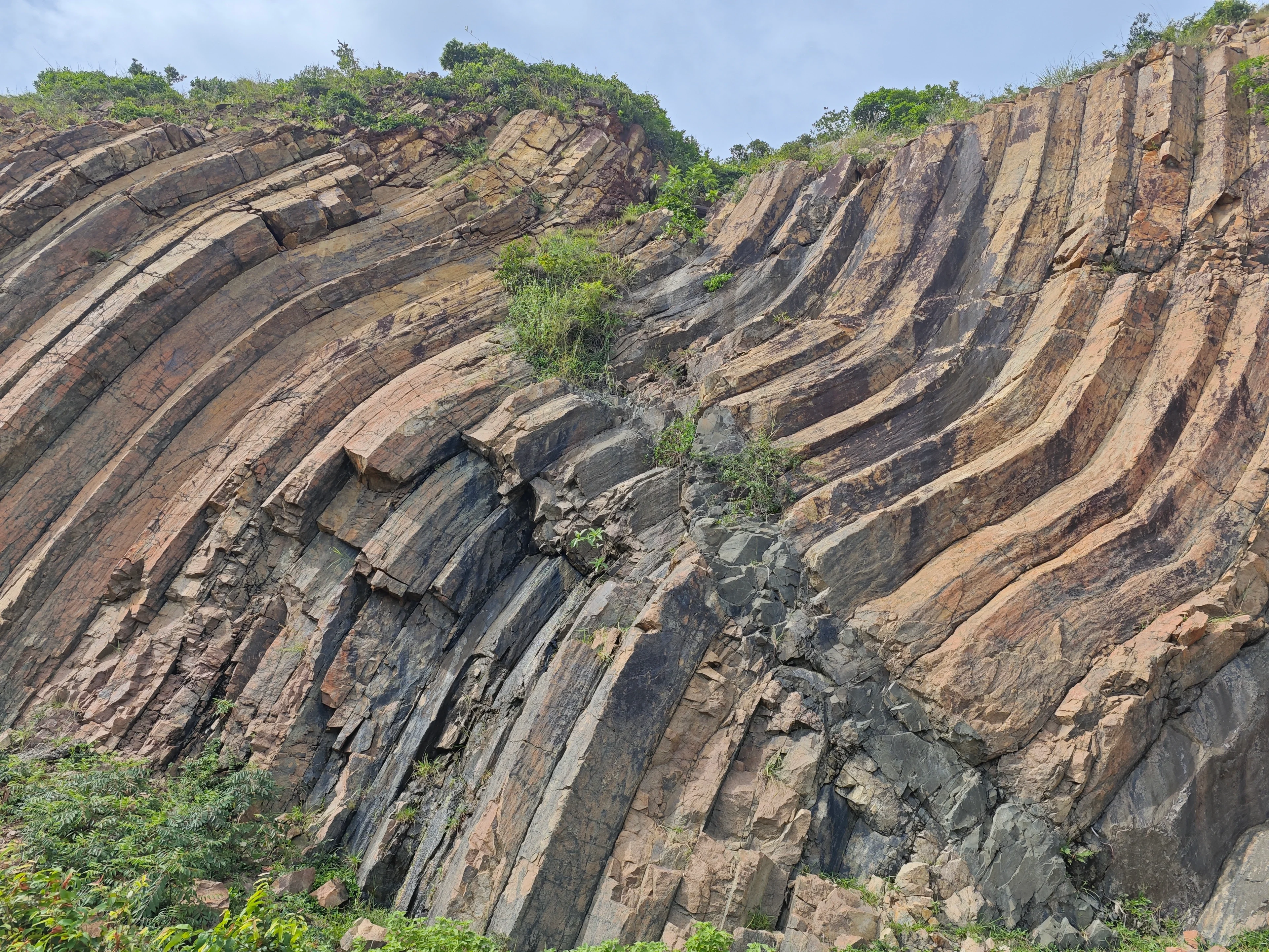 Fault zone in columnar basalt
