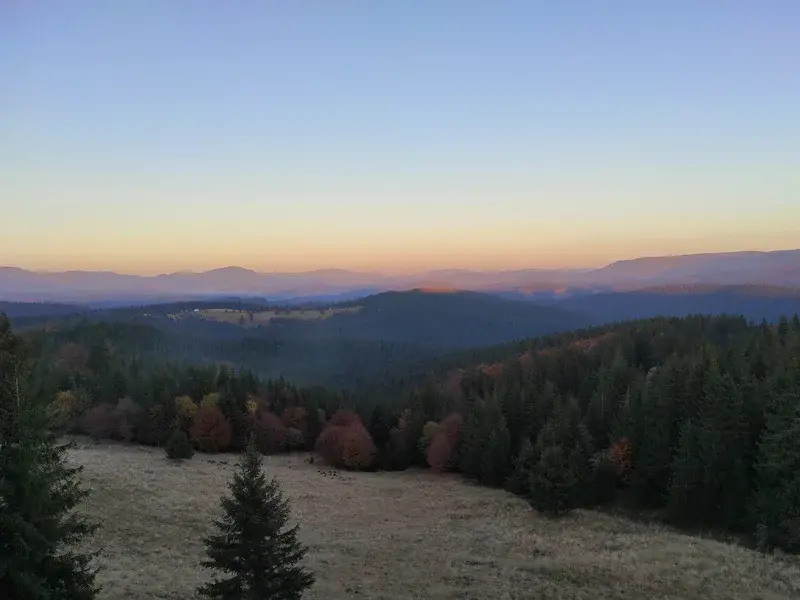 Autumn colors at dusk