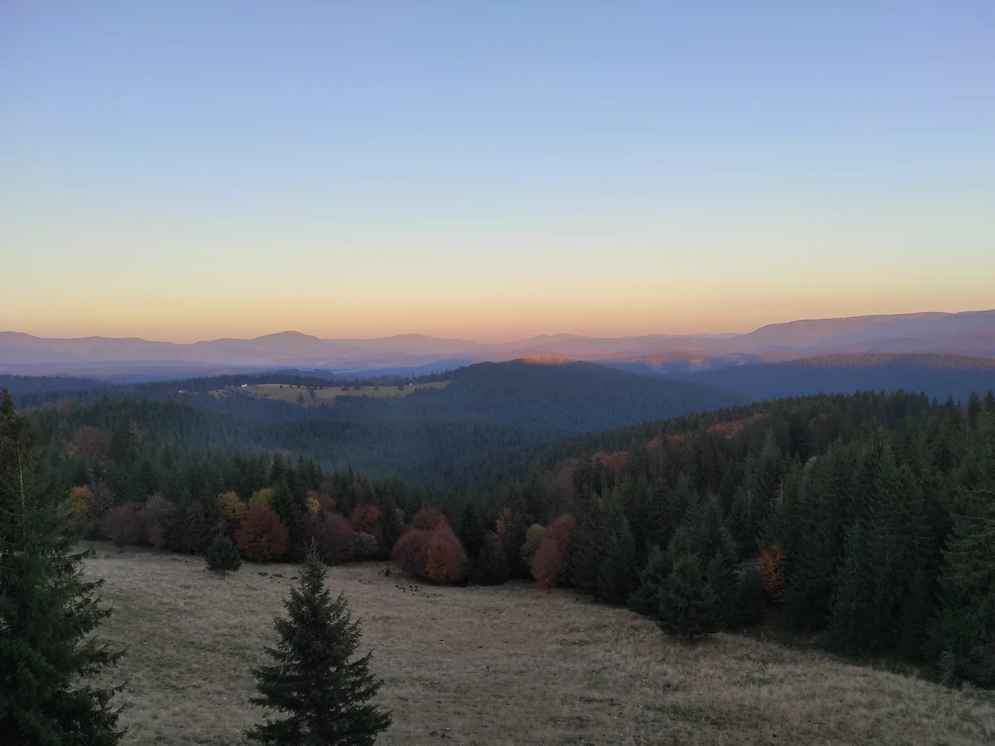 Autumn colors at dusk