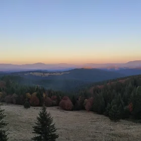 Autumn colors at dusk