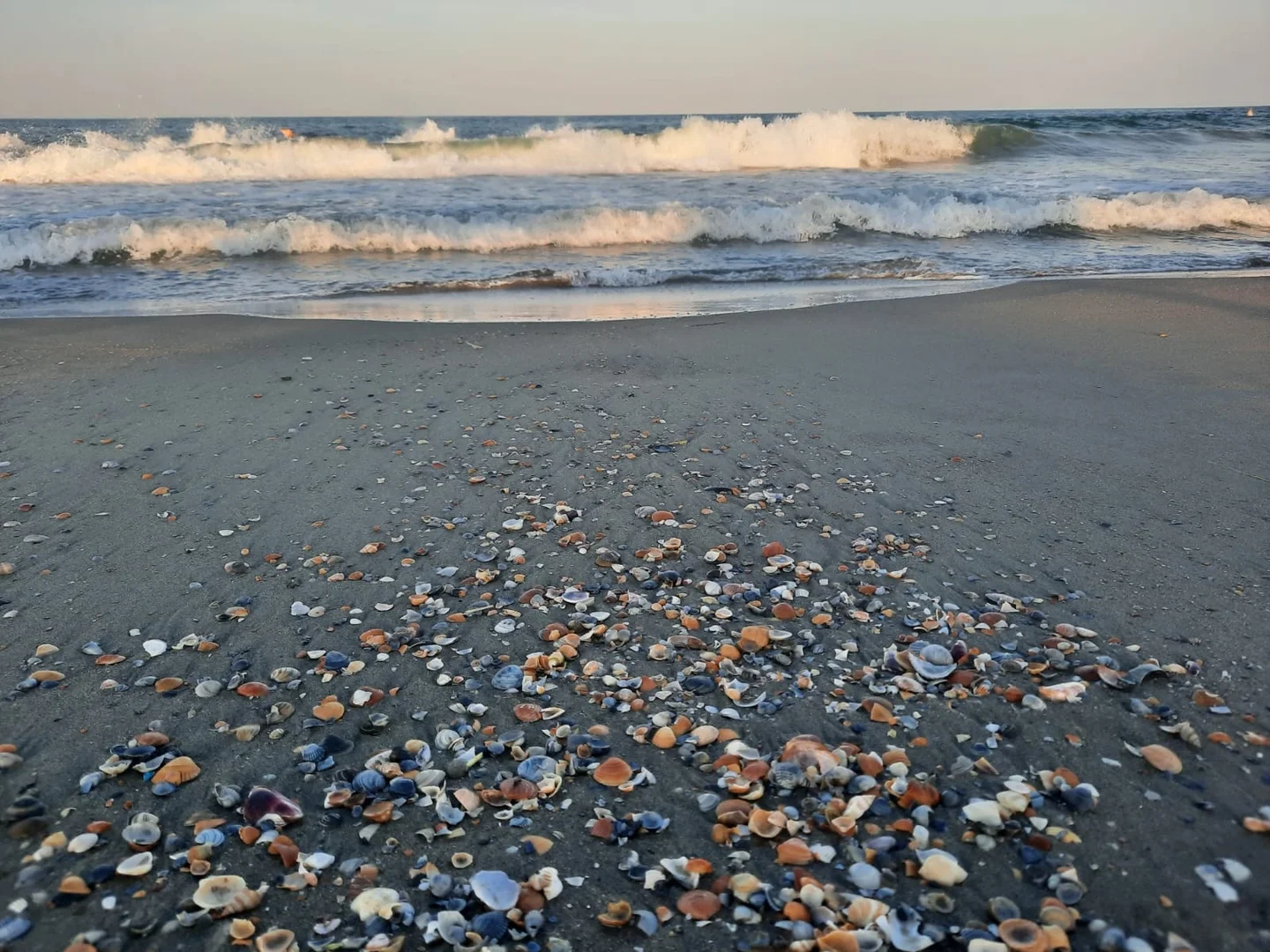 Expelled from the sea