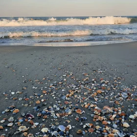 Expelled from the sea