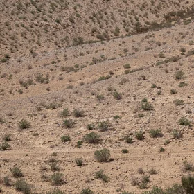 Spot patterns: A resilient ecosystem response to water stress