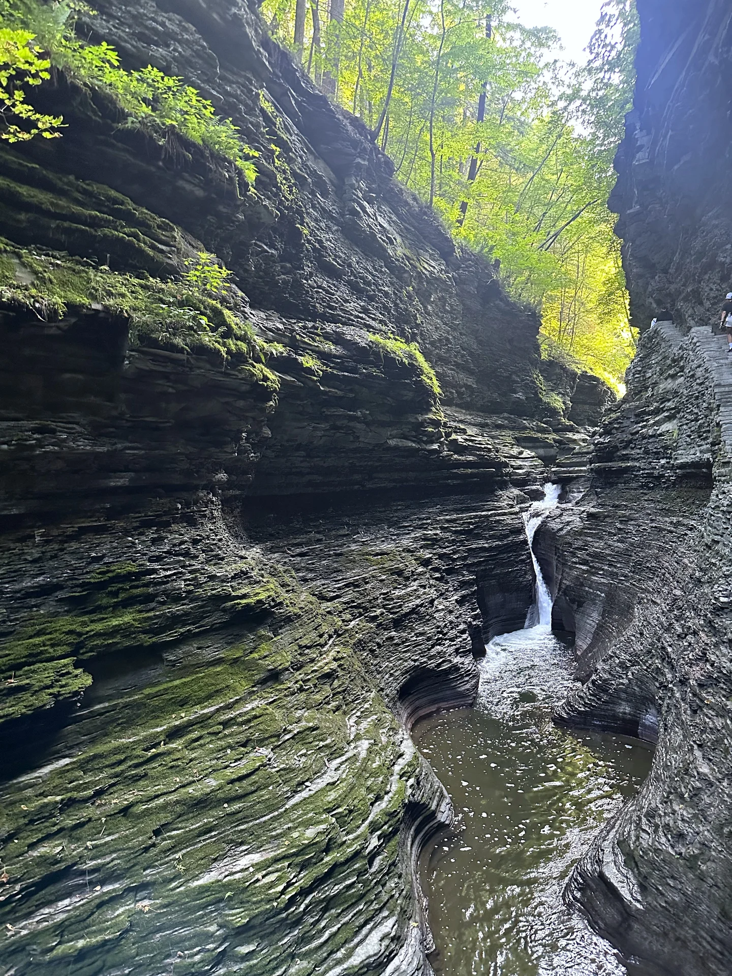 Nature’s masterpiece carved in time