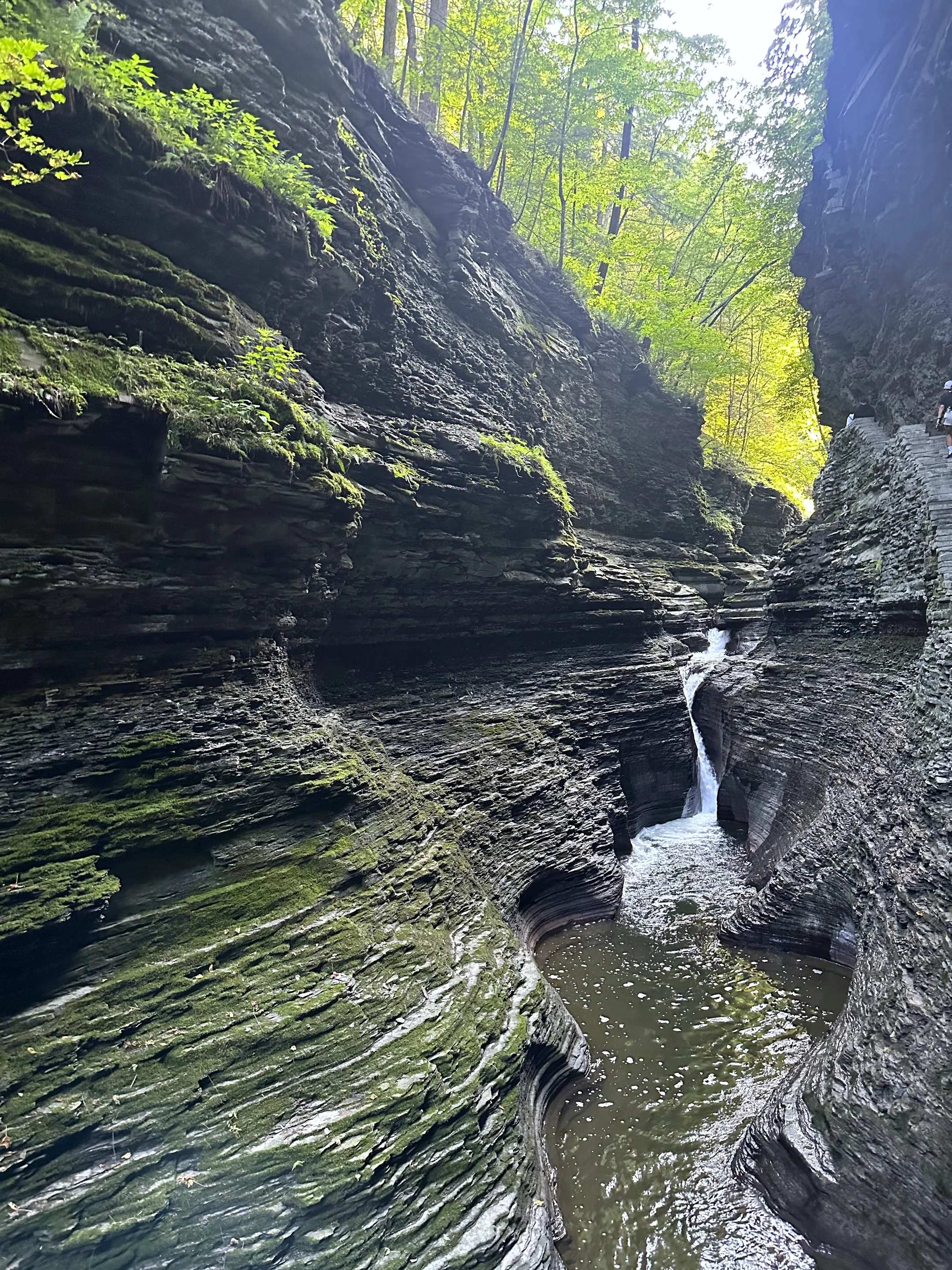 Nature’s masterpiece carved in time