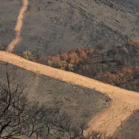 All this land is burned