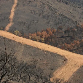 All this land is burned