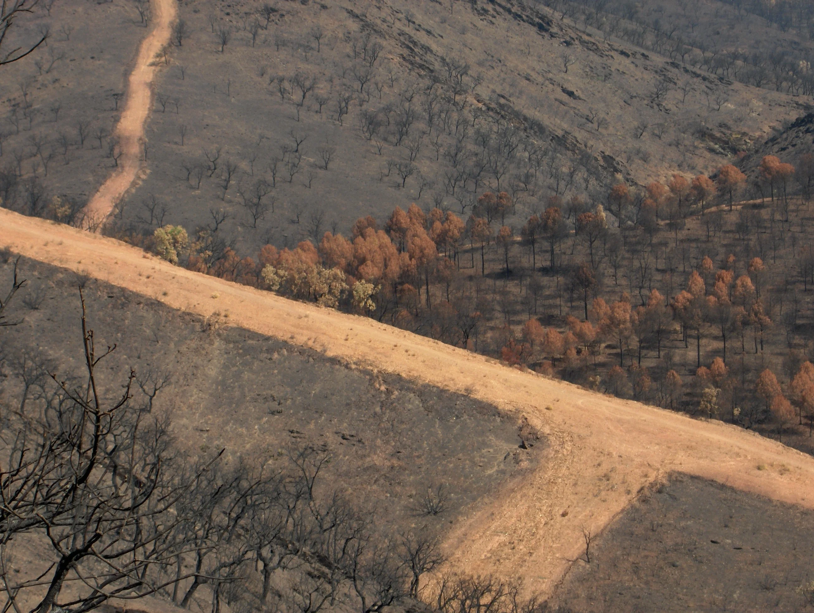 All this land is burned